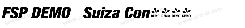 FSP DEMO   Suiza Con字体转换